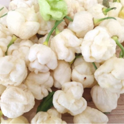 White Moruga Scorpion 10 seeds
