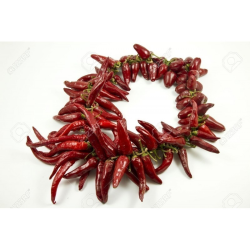 Paprika Húngara 10 sementes