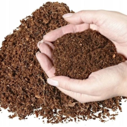 12x Kokosscheiben für Töpfe 125ml