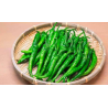 Graines de Piment Kacha Morich - 10 Graines | Piment Vert Indien