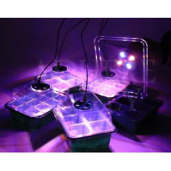 Germination Kit 2 Trays + 2 LEDs Fast Growth