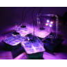 Kit Germinação 2 Bandejas + 2 Leds de Crescimento rápido