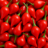 🔴 Red Biquinho Pepper – Sweet, charming and Brazilian