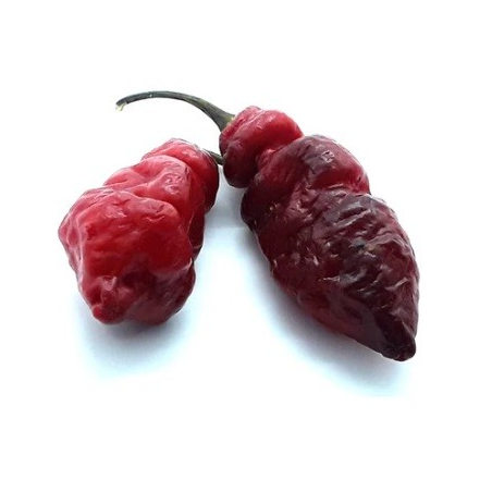 🌸🐅 Pink Tiger x Reaper – Belleza exótica, picor implacable