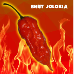 Triologia Flamejante Sementes Carolina Reaper, Moruga Scorpion e Bhut Jolokia