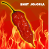 Nukleare Trilogie: Reaper, Scorpion & Jolokia 30 chilisamen