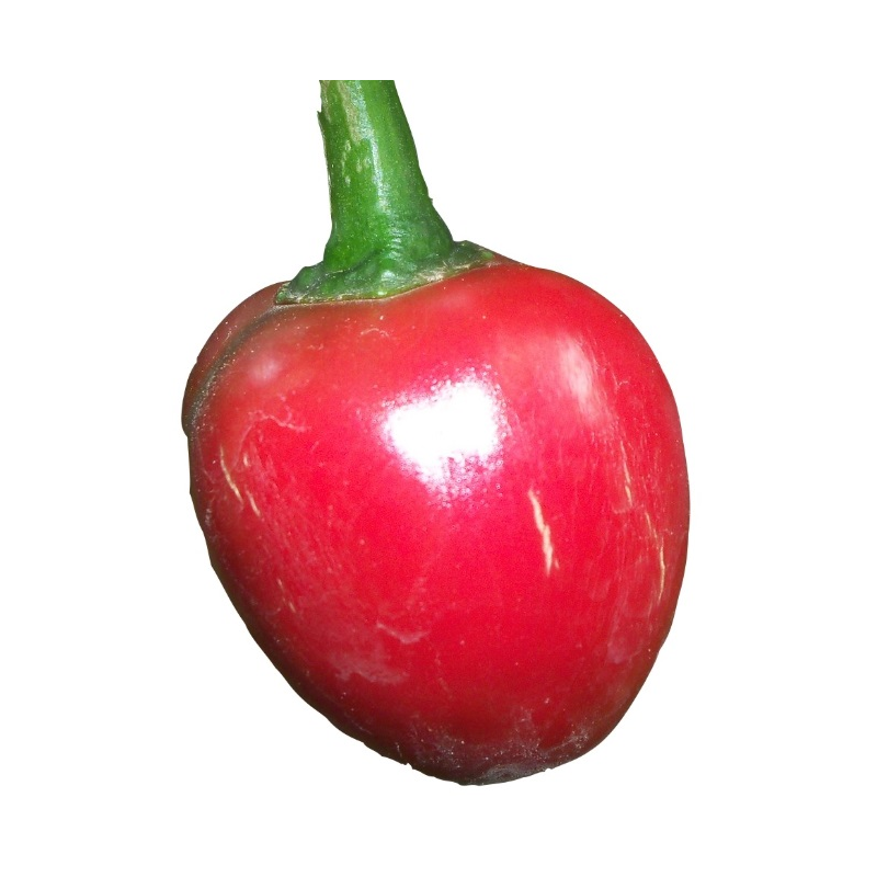 Satan's Kiss 10 siementä