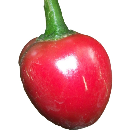 Satan's Kiss 10 seeds