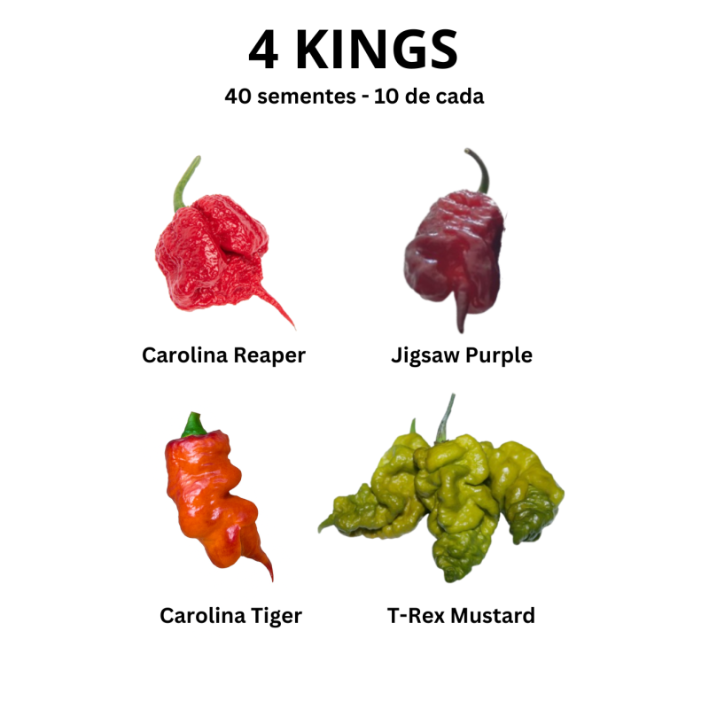 Pack 4 Kings – Chiles Extremos y Raros para Verdaderos Reyes