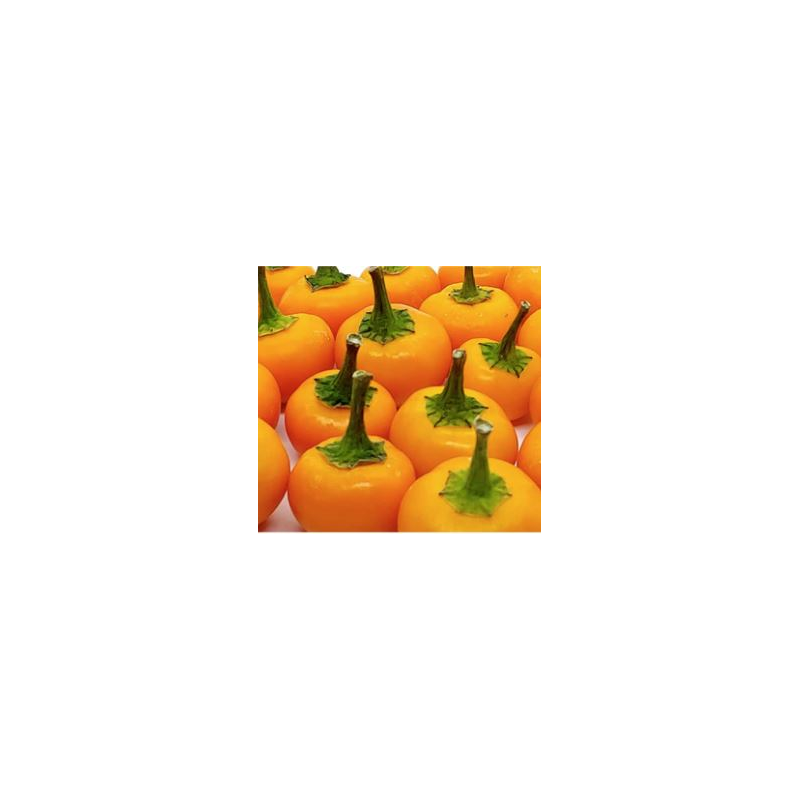Orange Peppadew 10 Samen