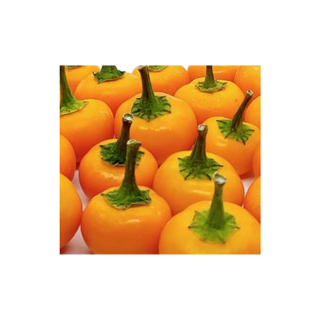 Orange Peppadew 10 semillas