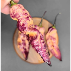 Pimiento Thanos: El Híbrido Cósmico de Calor y Color