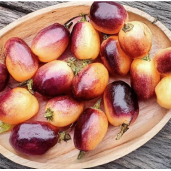 Peperoncino Olho de Mutum: Il Gioiello Raro dell'Amazzonia