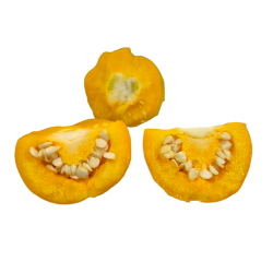 Orange Peppadew 10 semi