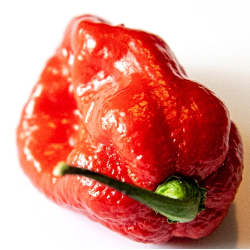 Sweet Moruga: All the Flavor, Without the Burn
