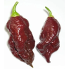 Jolokia Chocolate Chili: Der rauchige Feuergeist