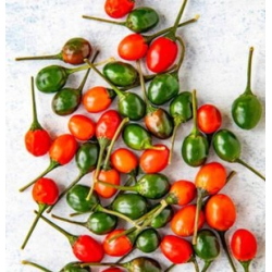 Pimenta-de-Bode: The Remarkable Aroma of Brazil | Picantes.pt