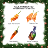 PACK Variegated 4 Varieties: Sugar Rush, Tangerine, Jalapeño and Scarlett