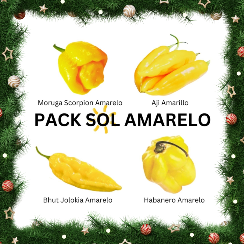 PACK VII Sol Amarelo: Scorpion, Jolokia, Habanero, Aji 40 sementes