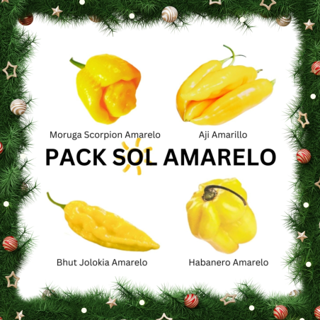 PACK VII Sol Amarelo: Scorpion, Jolokia, Habanero, Aji 40 sementes