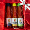 Gift Box DÍAS DE VERANO - 3 Salsas Frutales | dHotSeeds