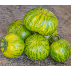 copy of Tomate Noire de Crimée sementes
