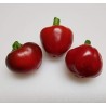 Graines de Piment Tondo Calabrese | Variété Italienne | Dhotseeds.com