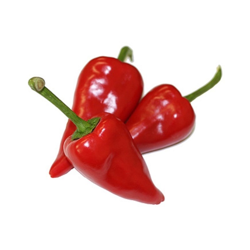 Pimento Piquillo 10 frø