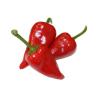 Pimento Piquillo 10 sementes