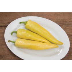 Banana Heirloom 10 seeds