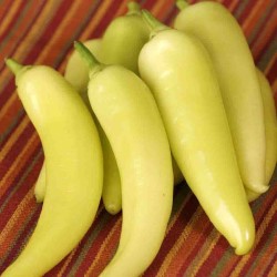 Bananen Heirloom 10 Chilisamen