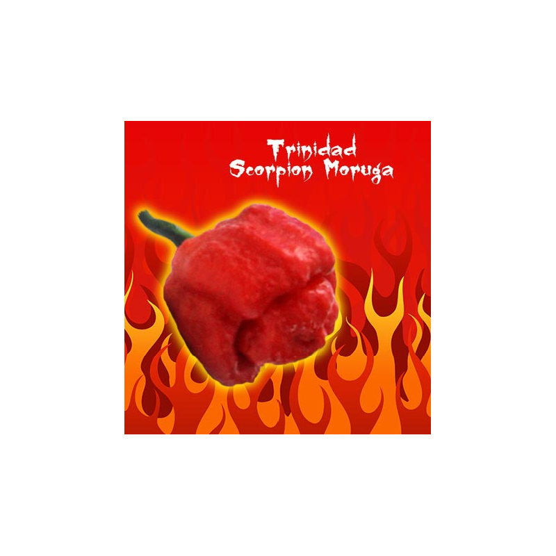 Trinidad Moruga Scorpion 10 semi