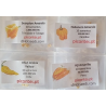 PACK VII Sol Amarelo: Scorpion, Jolokia, Habanero, Aji 40 sementes