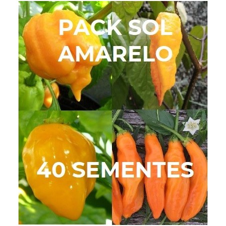 PACK Yellow Sun: Trinidad Scorpion Yellow, Jolokia Yellow, Habanero Yellow, Aji Amarillo