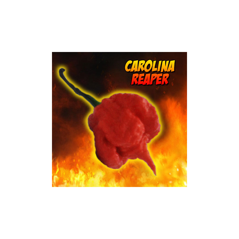 Carolina Reaper 10 chilisamen