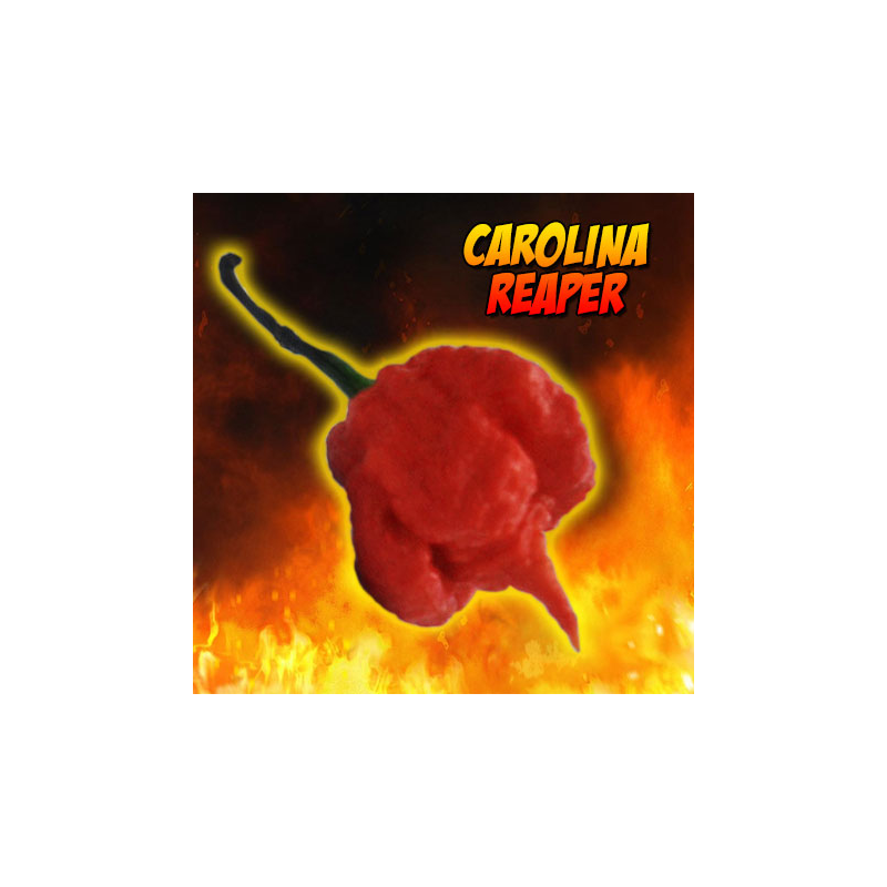 Carolina Reaper nasion