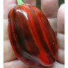 Candy Cane Chocolate Cherry (stripped) 10 seeds