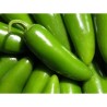 Jalapeno 10 siementä