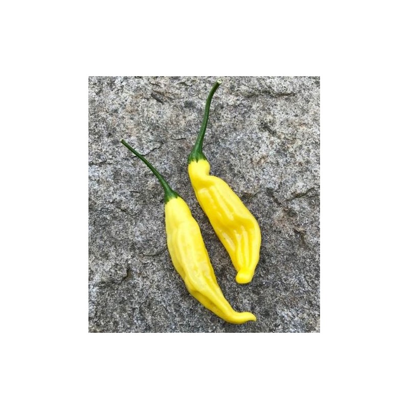 Aji Lemon DROP