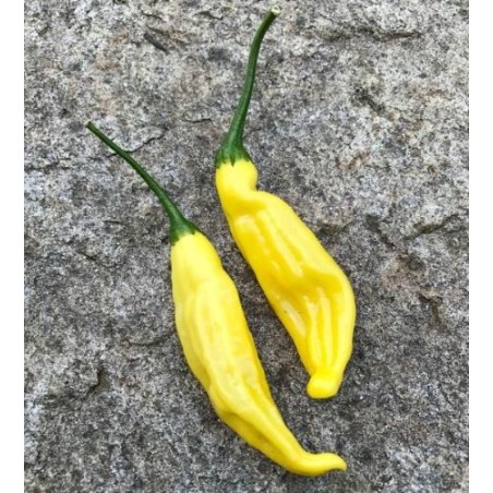 Aji Lemon DROP