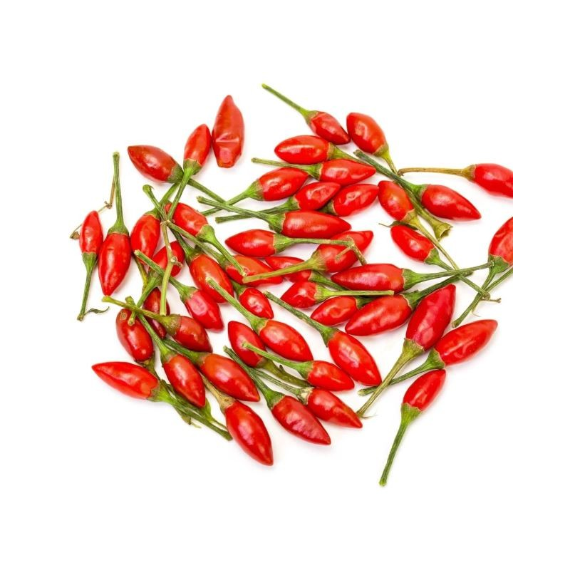 Graines de Piment Piri-Piri Sacana - 10 Graines | Bird's Eye