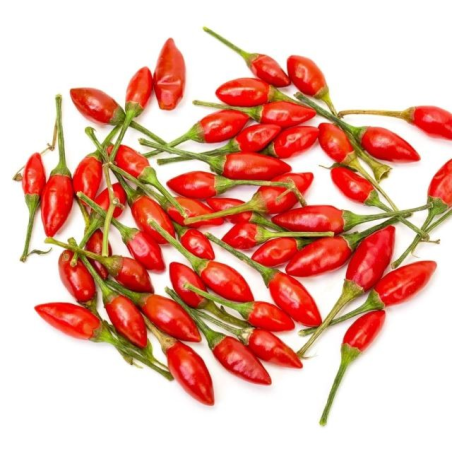 Graines de Piment Piri-Piri Sacana - 10 Graines | Bird's Eye