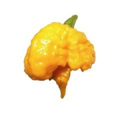 Carolina Reaper Yellow 10 seeds