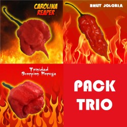 Trio Carolina Reaper, Trinidad Moruga Scorpion, Bhut Jolokia