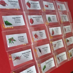 Pack of 20 Chilli Peppers 200 seeds Carolina Reaper Moruga Scorpion Bhut Jolokia Pack of 20 Chilli Peppers