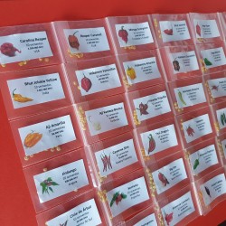 Packung mit 30 Chilischoten 300 Samen Carolina Reaper Moruga Scorpion Bhut Jolokia Packung mit 30 Chilischoten-Sorten