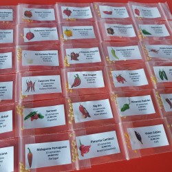 Pakket van 30 chilipepers 300 zaden Carolina Reaper Moruga Scorpion Bhut Jolokia Pakket van 30 chilipepers variëteiten