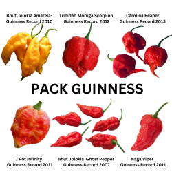 Pack 6 GUINNESS Reaper, Scorpion, 7 Pot, Jolokia,  Keltainen Jolokia - 60 siementä