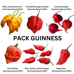 PAKKE 6 GUINNESS Reaper,...