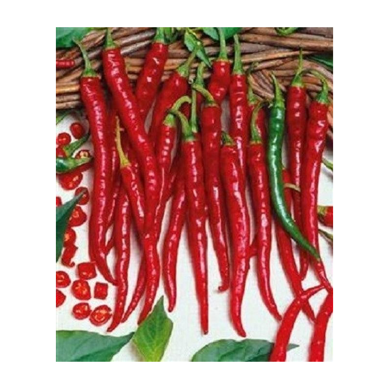 Cayenne Slim 10 sementes